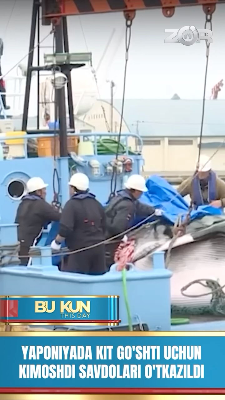 BU KUN