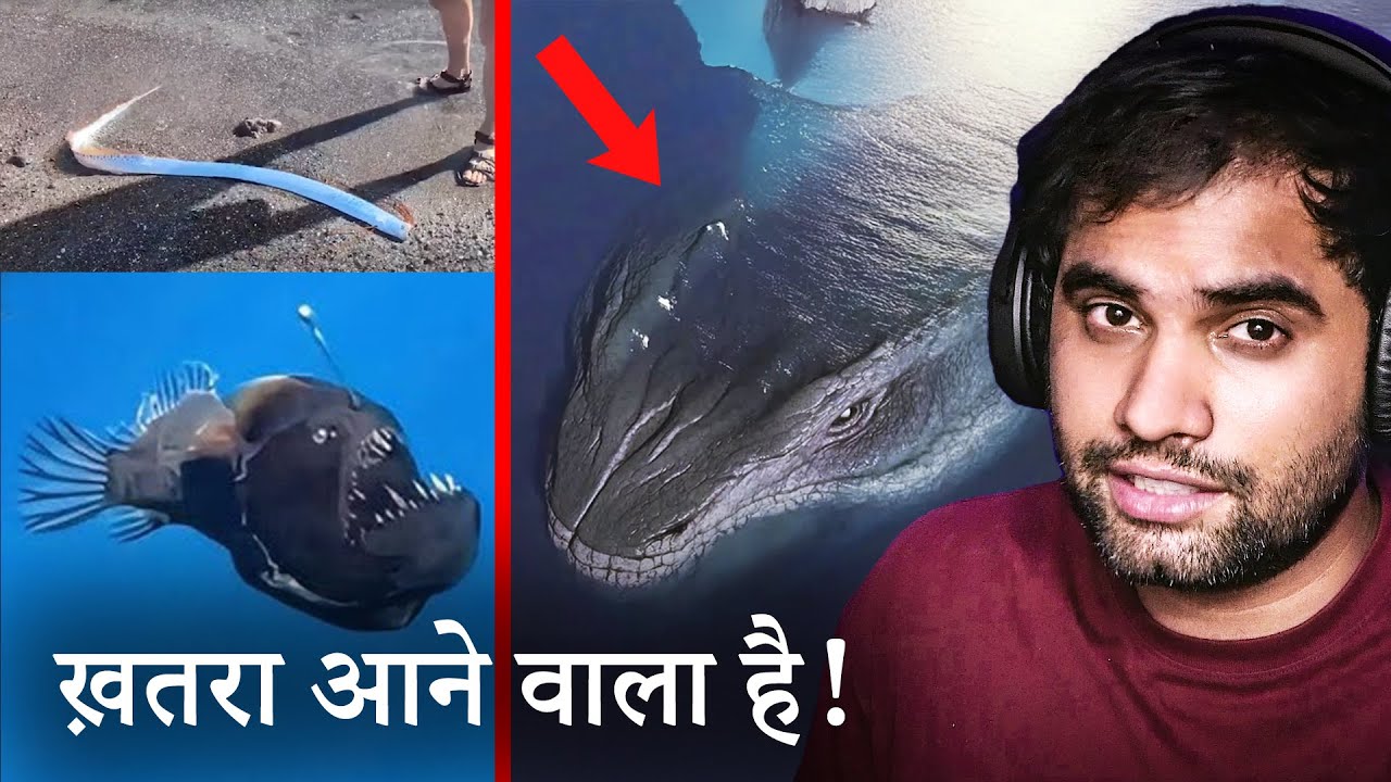 Leviathan is Coming | Angler and Oar Fish, Deep See Creatures are Coming out !