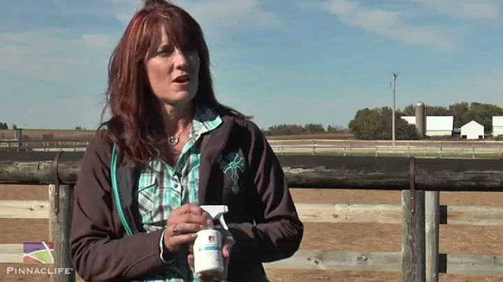 Pinnaclife Animal Health - Equine Skin Care Produc...