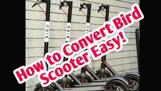 How to convert Bird scooter to a usable scooter full clip