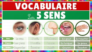 Vocabulaire : Les 5 sens || Français