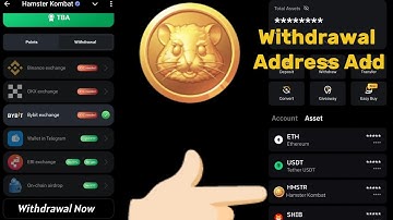 How To Add Hamster Kombat Official AirDrop Withdrawal Address Add Binance OKX Bybit exchanges