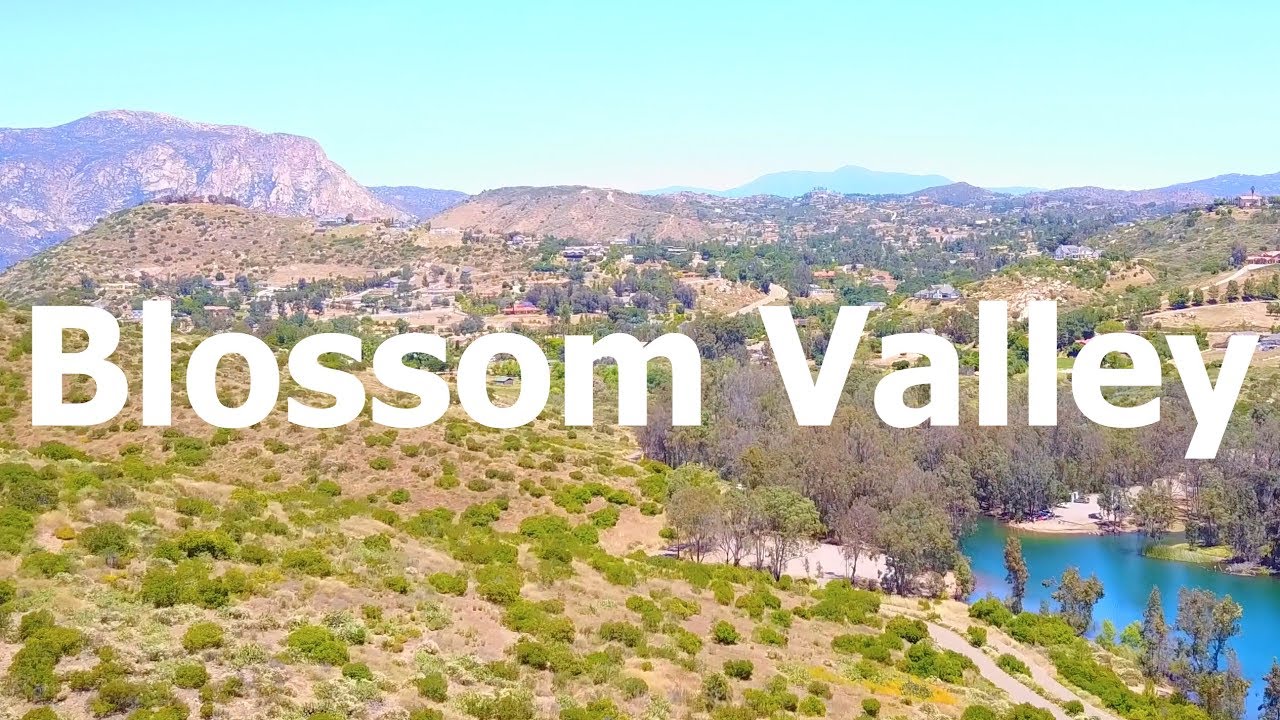 Blossom Valley : r/sandiego