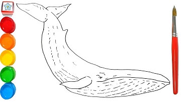 Vẽ con vật #102: Vẽ Cá voi xanh | How to draw a Blue whale