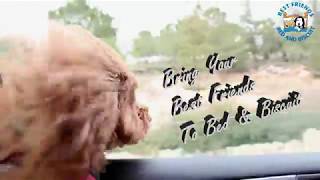 Best Friends Bed & Biscuit | Greensboro NC | Pet Resort | Dog Cat Boarding Daycare Training Grooming