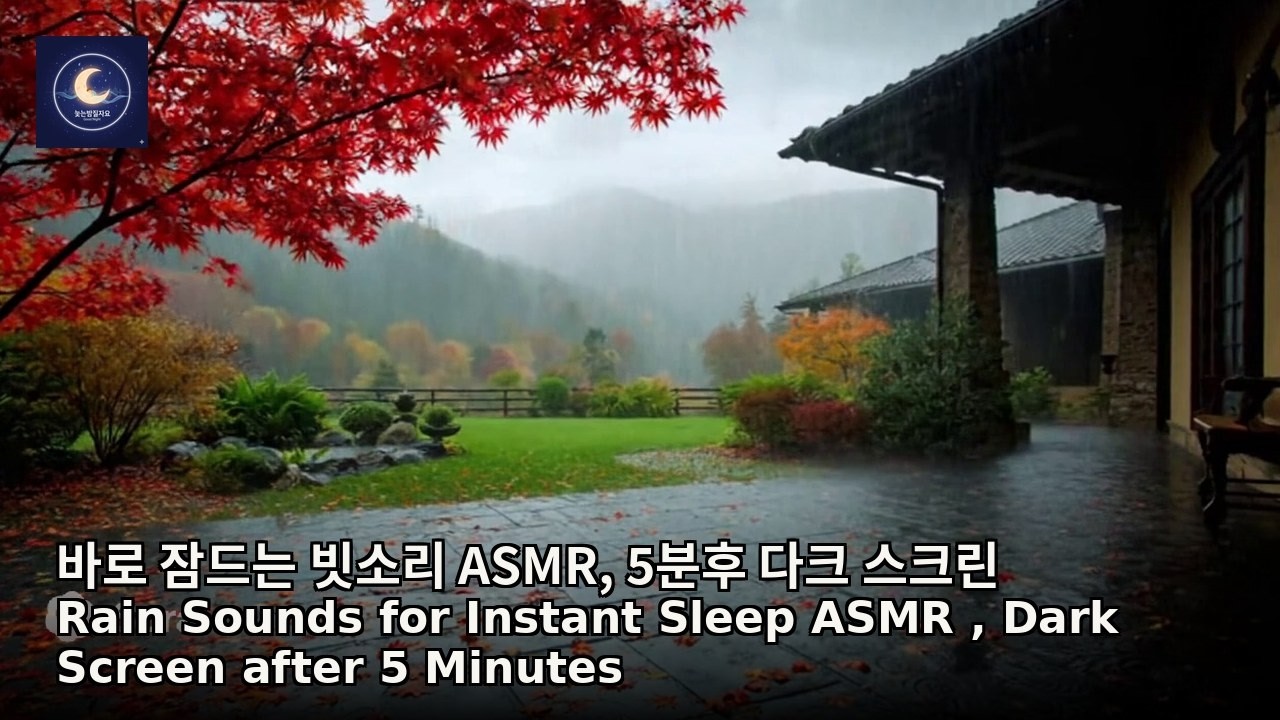 바로 잠드는 빗소리 ASMR, 5분후 다크 스크린😴🌧️Rain Sounds for Instant Sleep ASMR #rain #travel #relax #relaxing