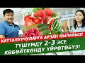 "АГРОКОМПЛЕКС" дүкөнү. Бишкек, Бейшеналиев 70 көчөсүндө