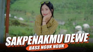 Sakpenakmu Dewe Versi Party ( DJ Topeng Remix )