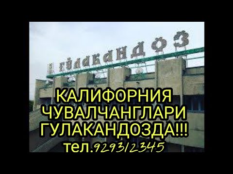 N176. Калифорния кизил