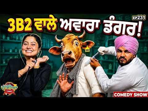 Prime Hassian (231) || 3B2 ਵਾਲੇ ਅਵਾਰਾ ਡੰਗਰ !