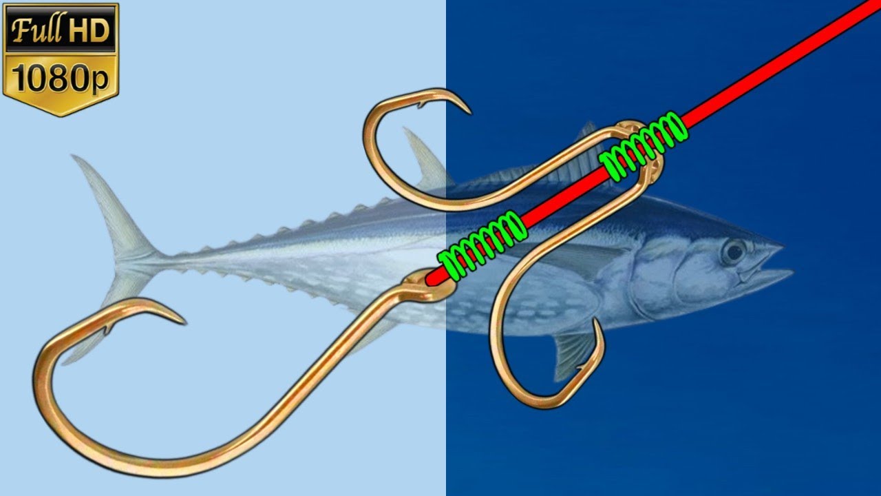 Very Strong How To Tie A Hook For Big Fish Fishing Knots YouTube very-strong-how-to-tie-a-hook-for-big-fish-fishing-knots-youtube