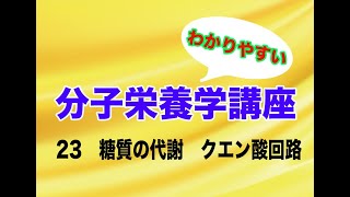 分子栄養学講座23 〜糖質の代謝　クエン酸回路