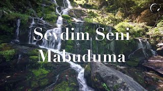Sevdim Seni Mâbuduma |  Enstrumantal Turkish Music | Enstrumantal Sufi Music | Saz-ı Dil Resimi