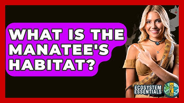 What Is The Manatee