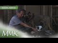 Lolo Jessie expels in their house because of his dogs | MMK