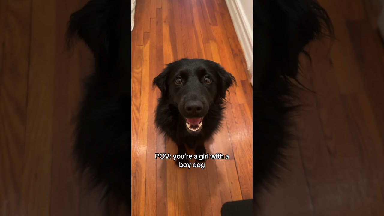 his little wink on beat i can’t 😭 