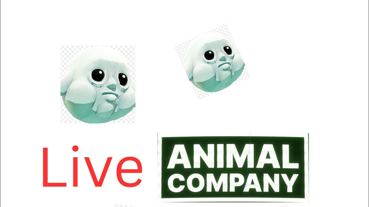 Animal company stream