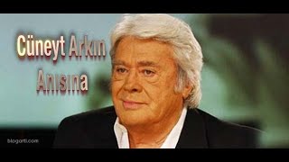 Cüneyt Arkin Anisina