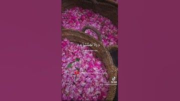 SURAH AL HUJURAT - سورة الحجرات | Mohamiddin Mamaluba #mamaluba #quran #القرآن_الكريم