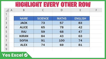 Highlight Every Other Row in Excel