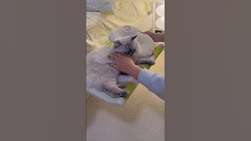 Bedside tables #shortvideo