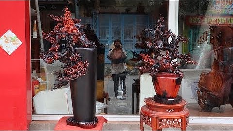 Bình mai phú quý gỗ trắc đỏ đen cực đẹp sắc nét