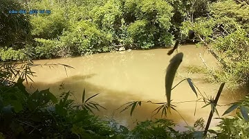 câu cá mùa mưa lũ -câu Đài
