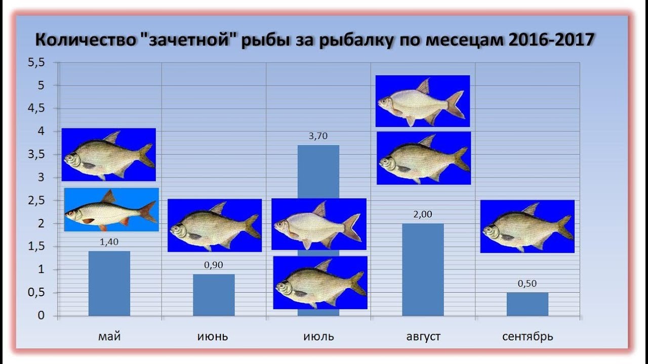 Клев днепр. Давление для рыбы. На какой глубине плавают рыбы. На какой глубине плавает рыба для рыбалки. Как узнать когда будет клевать рыба.