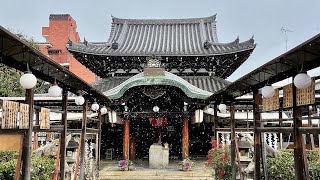 禅居庵　摩利支天堂　ライブカメラ