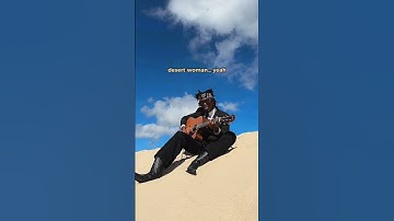 Thumbnail of • the dunes change shape in the wind…