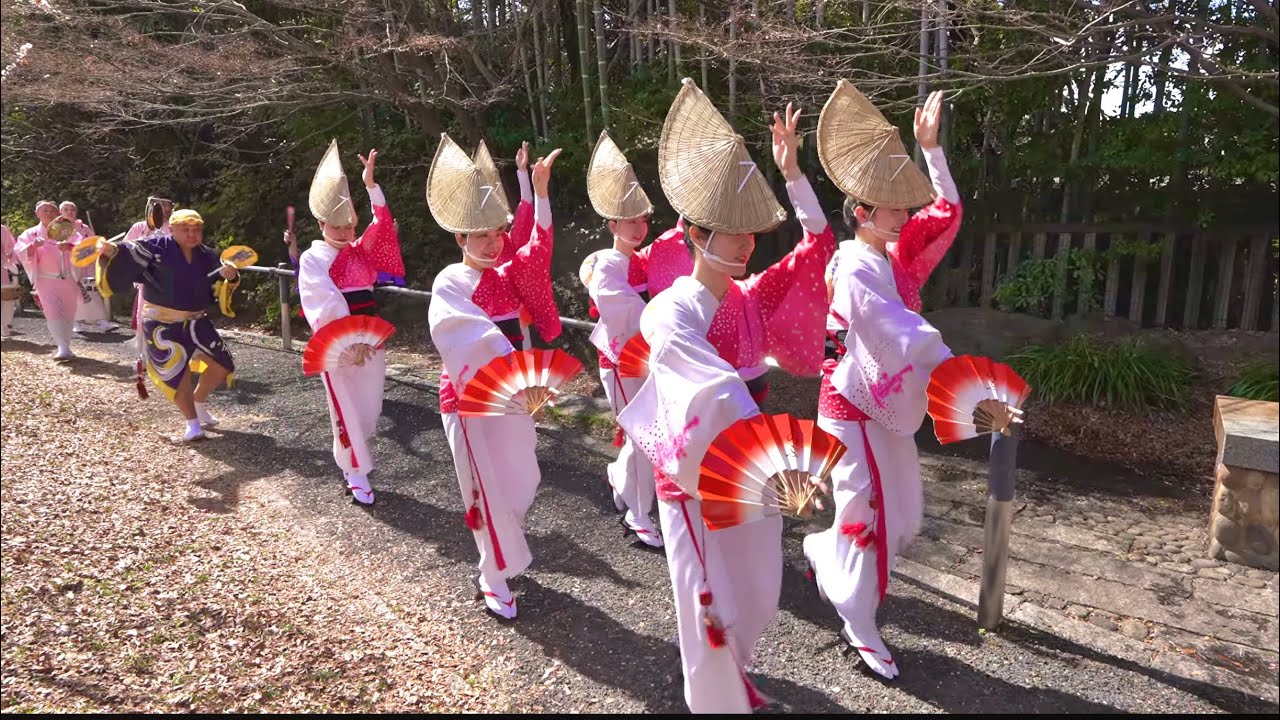 【2026]杉並梅里まつりしのぶ連阿波踊り演舞/高円寺阿波おどり02.28