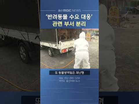 <strong>울산시</strong>, 13일부터 반려동물팀을 '반려동물센터팀'과 '동물방역팀'으로 분리