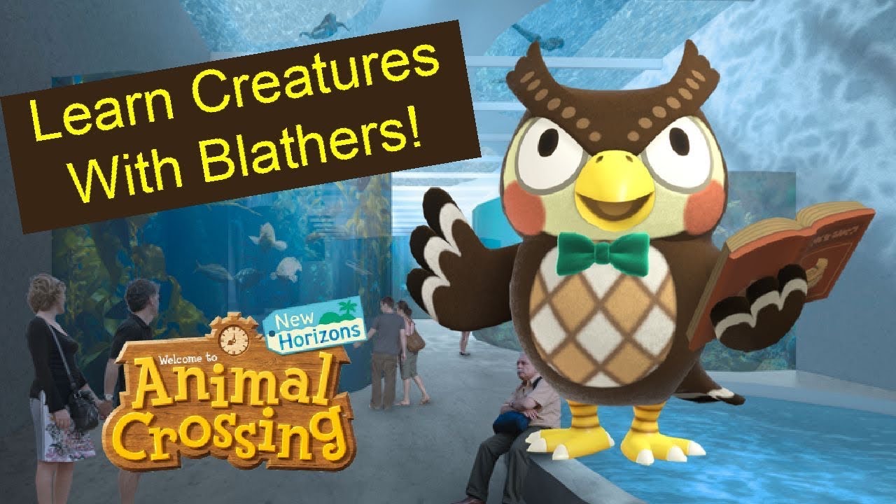 Learn Creatures With Blathers! - YouTube