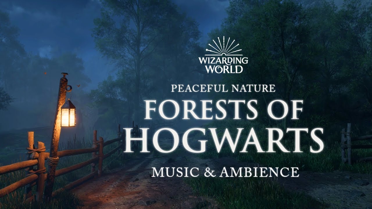 The Forests of Hogwarts | Peaceful Harry Potter Music & Ambience | 3 Hours