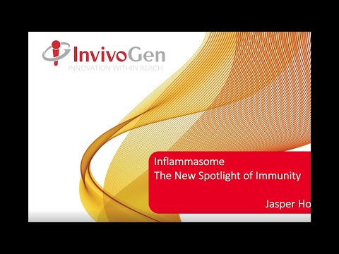 【ビデオセミナー】 Inflammasome｜ナカライテスク