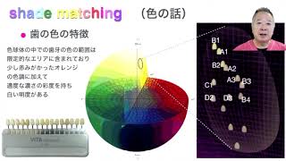 ジルコニアC-1（シェードマッチング） おさわり版