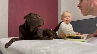 Cutest Howl Ever! Baby and His Dog Learning How to Sound Like a Wolf