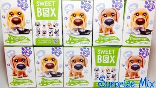 Пушистики Щенята 2 Доггивуд СВИТ БОКС НОВИНКА Коробочки Сюрпризы - Sweet Puppies surprises opening Пушистики Щенята 2 Доггивуд СВИТ БОКС НОВИНКА Коробочки Сюрпризы - Sweet Puppies surprises opening