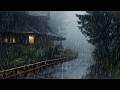 Rainforest Rain Sounds for Sleeping or Studying 🌧️ White Noise Rainstorm 24 Hours