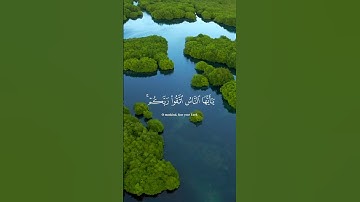 اية من سورة الحج || القارئ بشار سراج