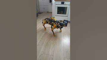 Stanley - quadruped robot - the high RPM robot dog!