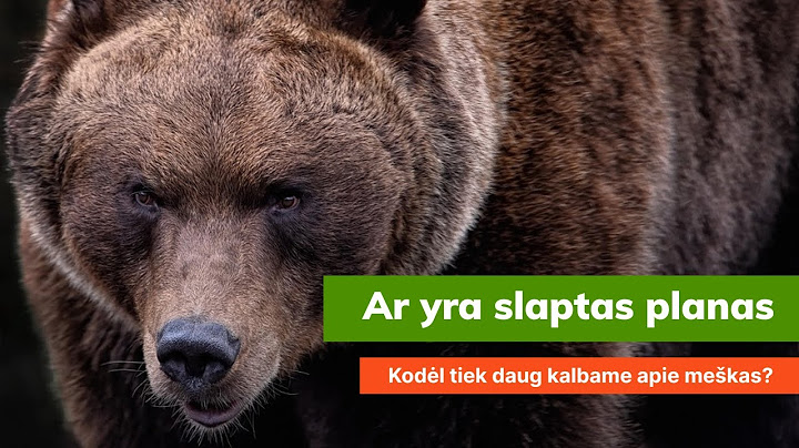 Slaptas planas pradėti meškų medžioklę ar planas uždrausti žmonėms išeiti už miestų ribų?