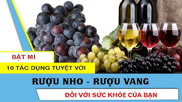 Rượu Nho - Rượu Vang | 10 công dụng ít ai biết