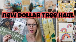 LARGE DOLLAR TREE HAUL • more finds from spending $150 in the store!
