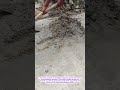 Manual Concrete Mixing by Hand | Traditional Construction Method