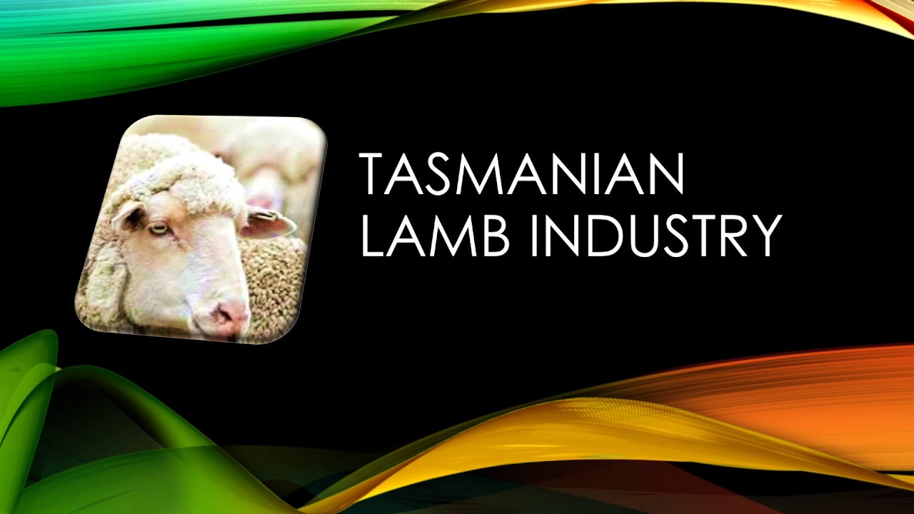 Tasmanian Lamb Industry YouTube