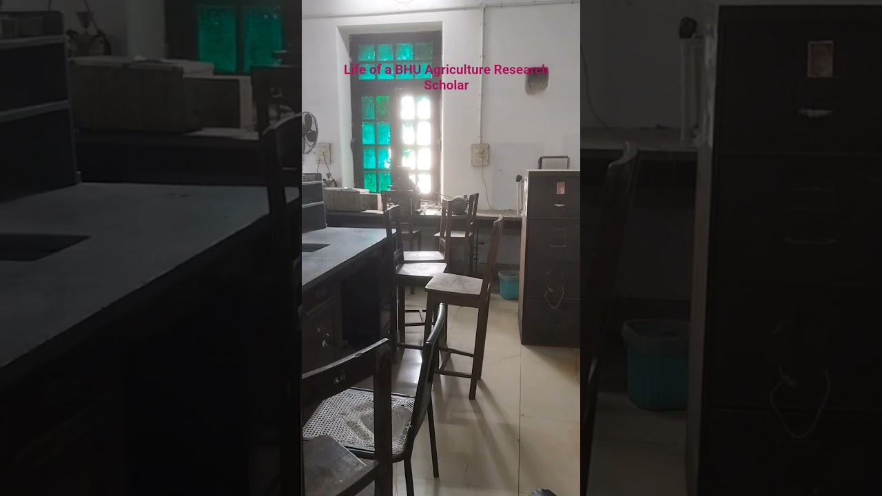 Life of a BHU Agriculture Research Scholar 
