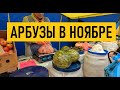 Рассказываю о ценах на рынке в Киеве