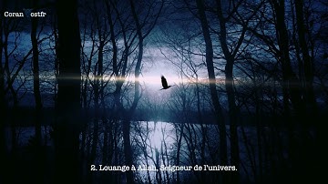 Sourate As-Su'ara (les poètes 69-103) - Ahmed Nufays أحمد النفيس سورة الشعراء