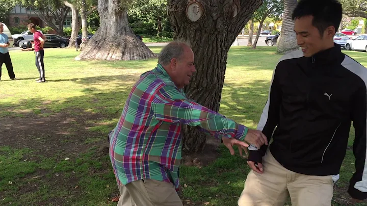 Push Hands - Michael Krubiner - May 2016